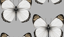 Обои бабочки в спальню Andrea Rossi Sheradi 54401-6