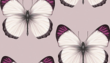 Обои бабочки в спальню Andrea Rossi Sheradi 54401-7
