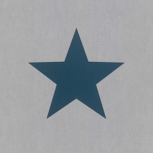 Тонкие обои Rasch Kids & Teens II 248104 Тонкие обои Rasch Kids & Teens II 248104