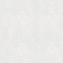 30079