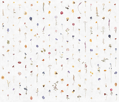 Фотообои FRAGILITY 2, SIESTA, Factura