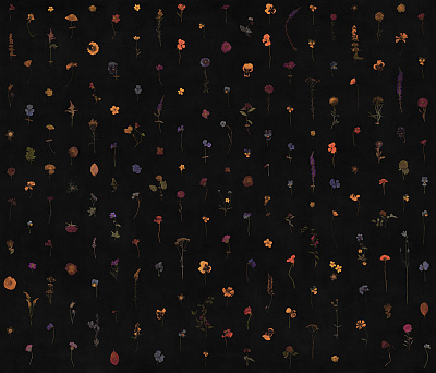 Фотообои FRAGILITY 5, SIESTA, Factura